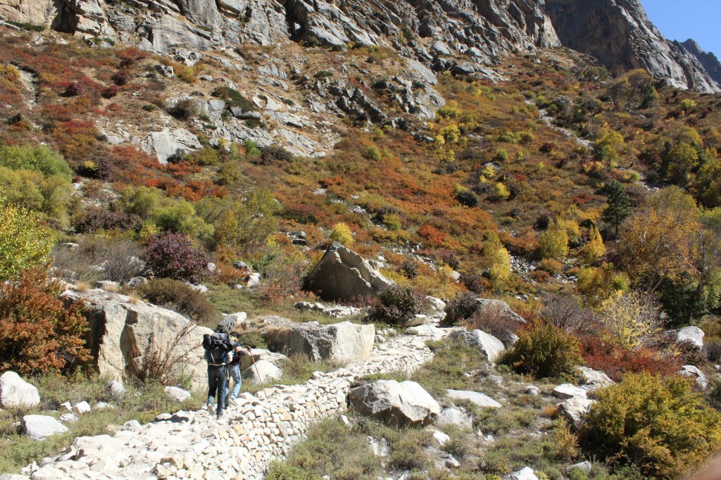 The ancient route! Trekking towards Bhojbasa