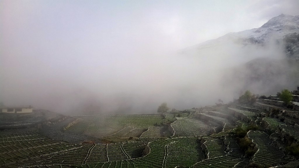 The white cloak of nature! Mist covering a Nako morning 