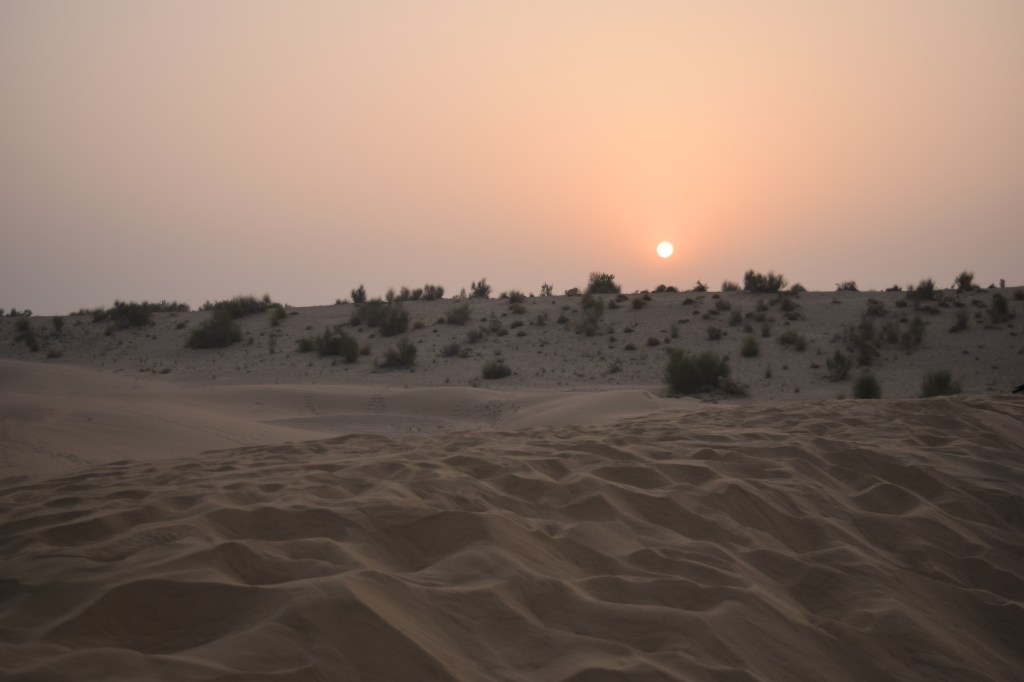 Forts, Deserts, Camels and 6 Trains : A tale of Rajasthan Trip – Part 2