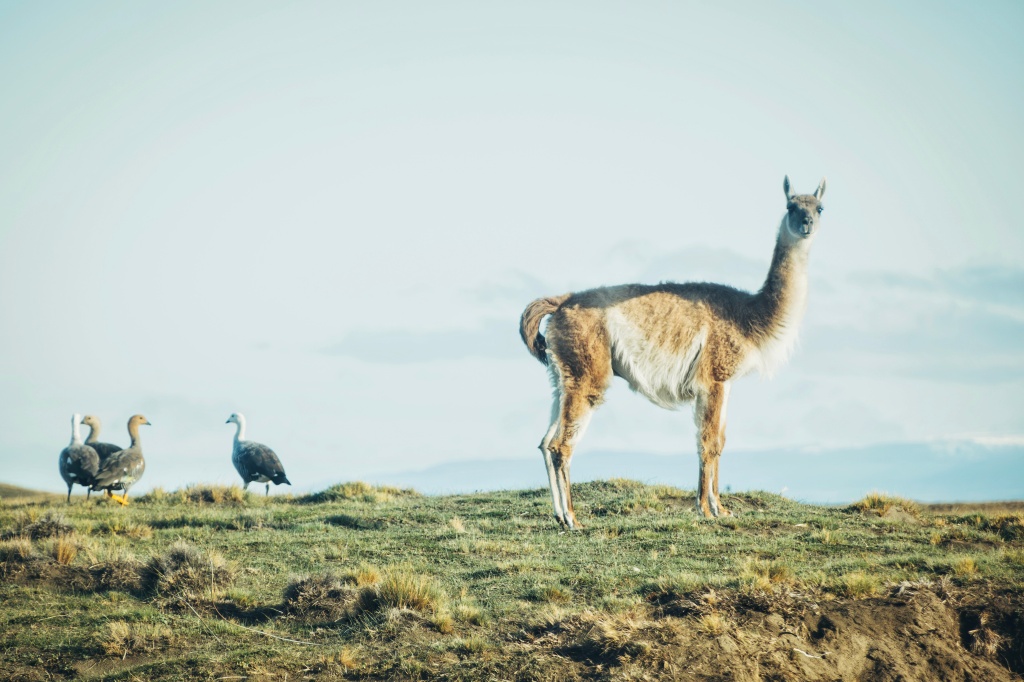 Top 10 Must See Destinations in South America