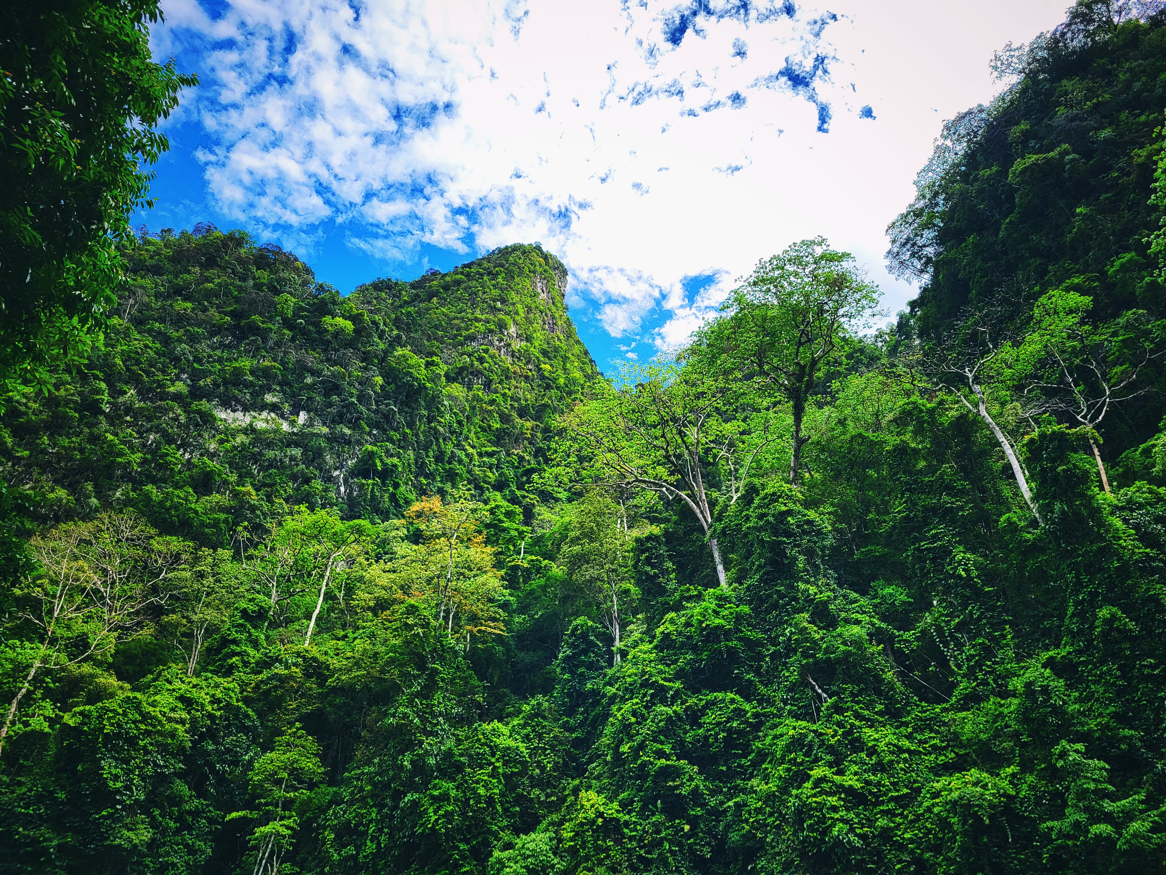 Khao Sok National Park