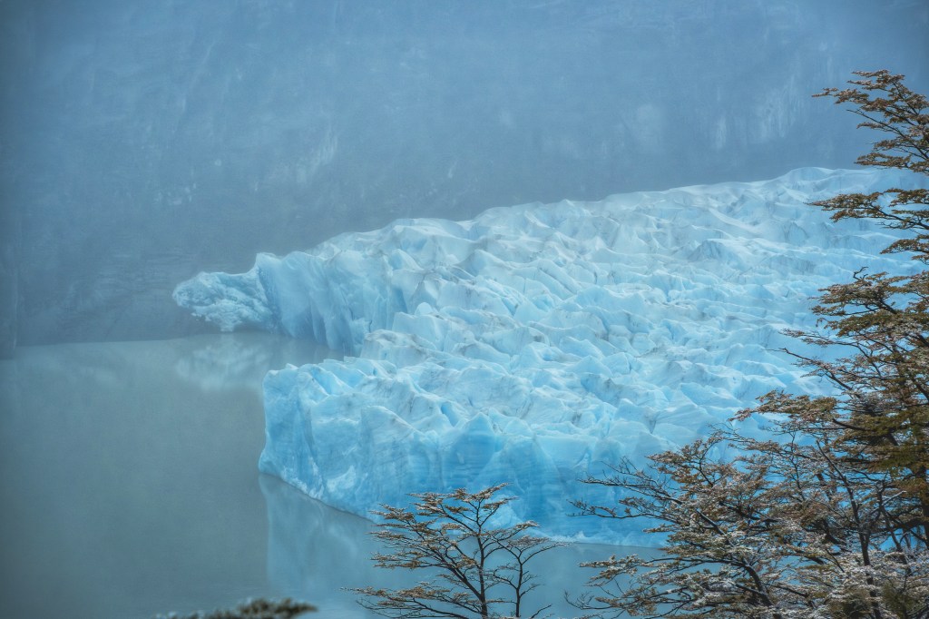 Grey Glacier Winter
