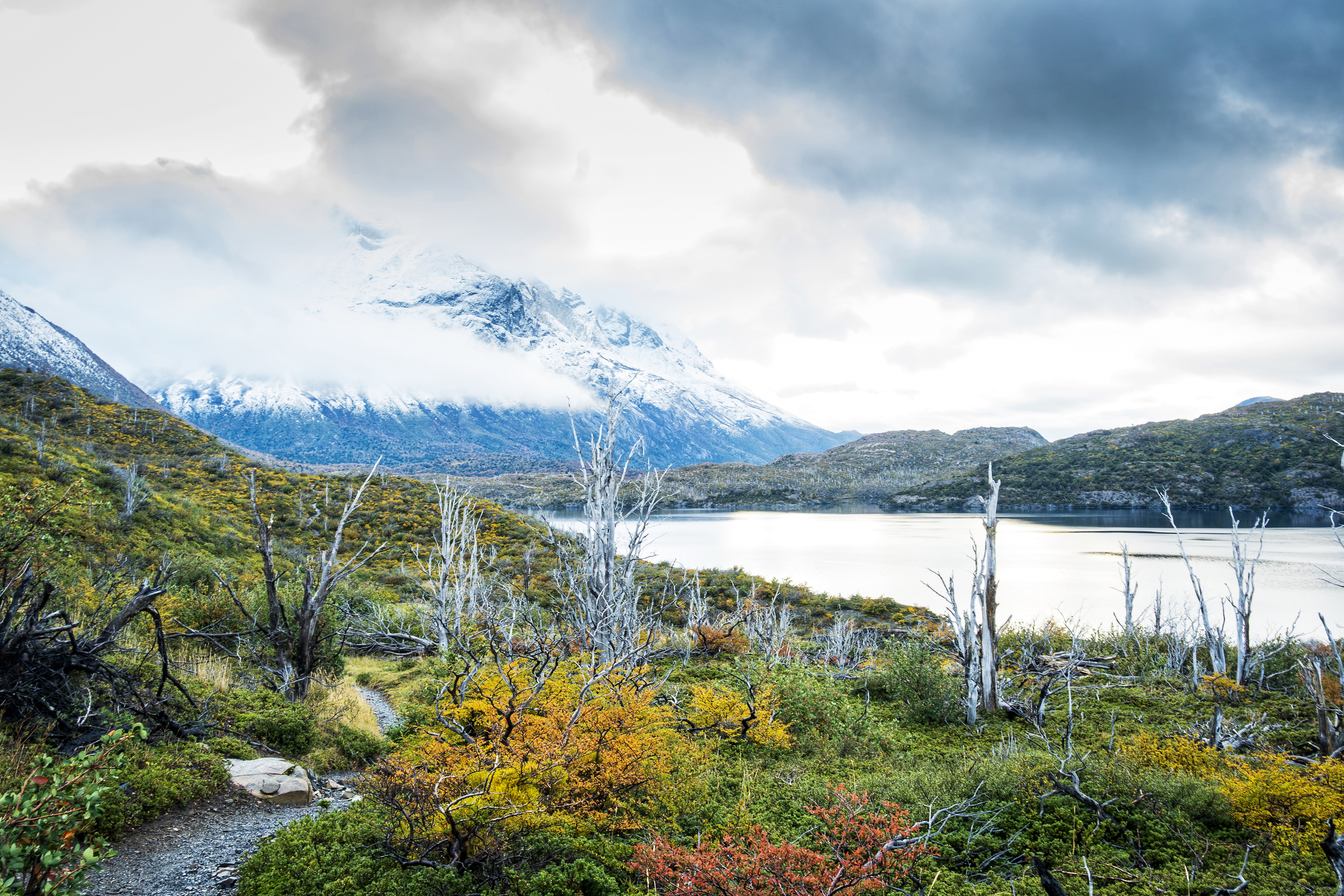 The Ultimate Guide for Hiking Torres del Paine's W, O, and Q Treks - Travel  Blog and World Class Photography - Travel Blog - Ditch the Map, image size:5568x3712