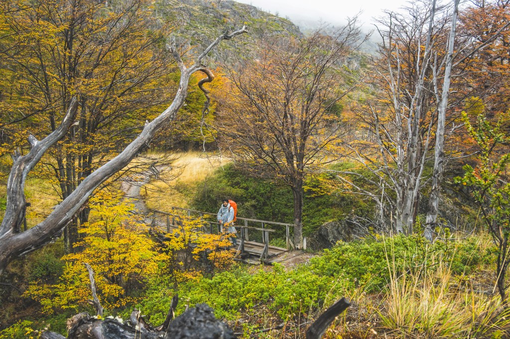 W trekking Torres Del Paine